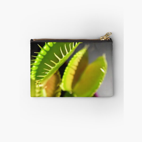 Item preview, Venus flytrap Dionaea muscipula Carnivorous plant Macro photography designed and sold by Tanja Dianova.