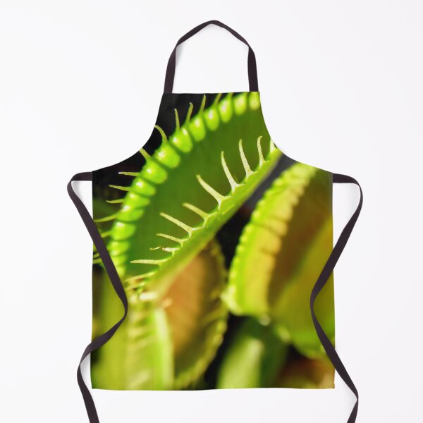 Item preview, Venus flytrap Dionaea muscipula Carnivorous plant Macro photography designed and sold by Tanja Dianova.