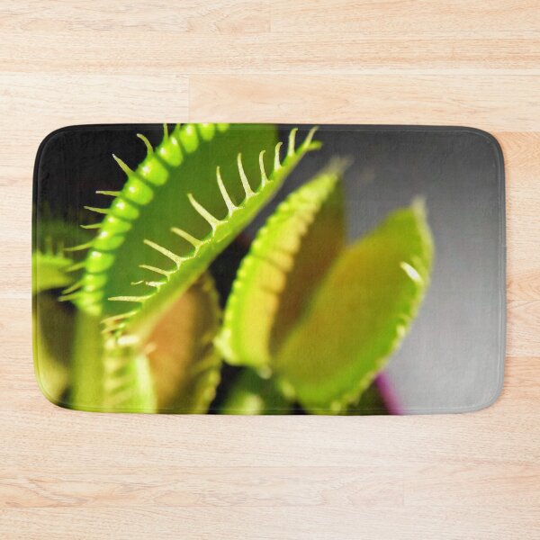 Item preview, Venus flytrap Dionaea muscipula Carnivorous plant Macro photography designed and sold by Tanja Dianova.