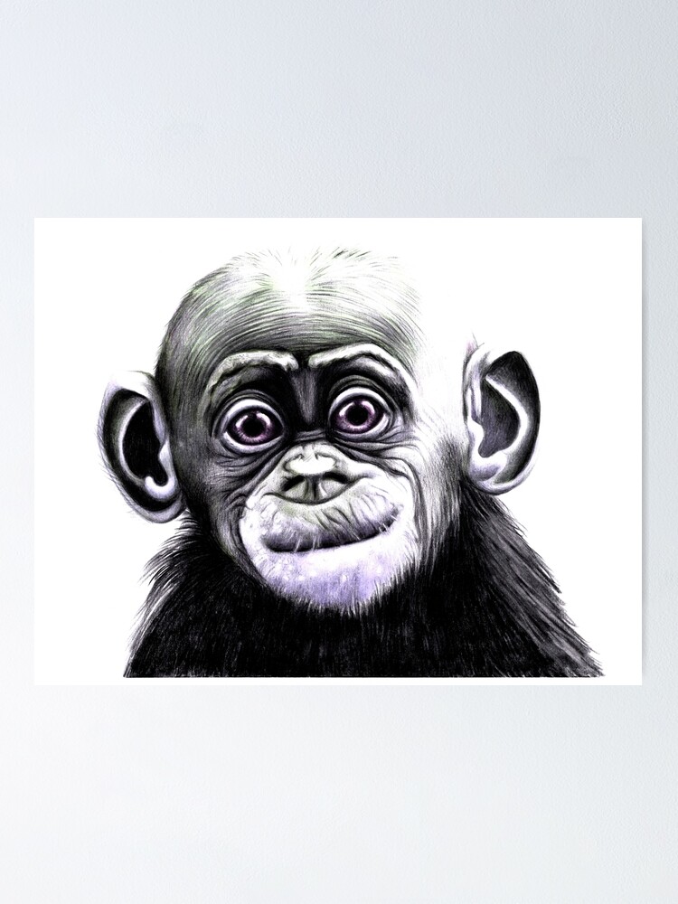 "Baby Bonobo" Poster for Sale by mags0412 Redbubble