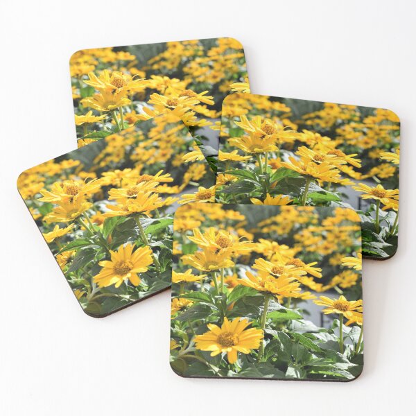 Item preview, Field of Daisies designed and sold by DonnaM.