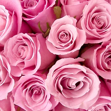 Artwork thumbnail, Pink Roses by Naomi80