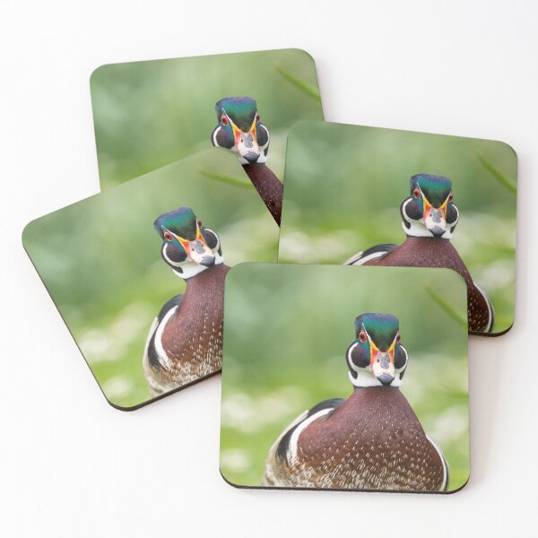 Item preview, Wood duck funny portrait designed and sold by AYatesPhoto.