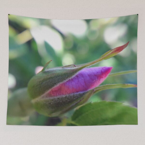 Item preview, Pink rose bud Macro photography designed and sold by Tanja Dianova.