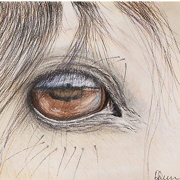 Artwork thumbnail, Arabian Stallion eye. by delewdesigns