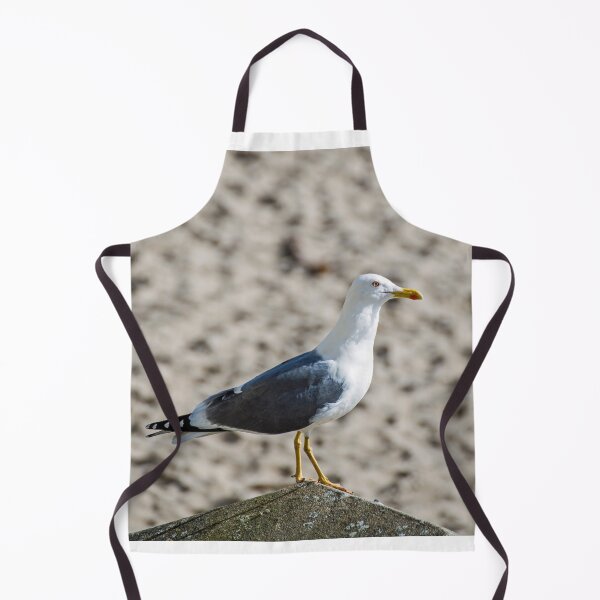 Item preview, Gull on a Wall post at Whitmore Bay on Barry Island designed and sold by Cameranick.