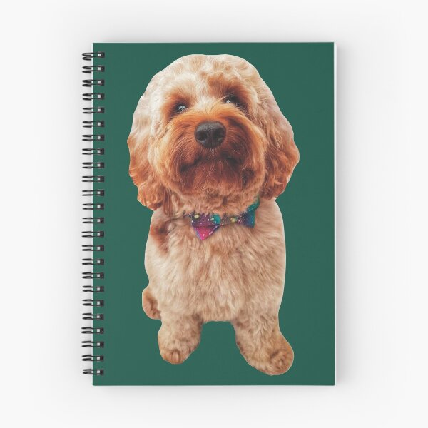 Artikelvorschau, Roter Cockapoo in Fliege entworfen und verkauft von ToriaScarlett.