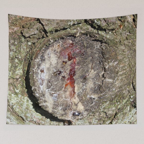 Item preview, Sap designed and sold by Susie Kramer.