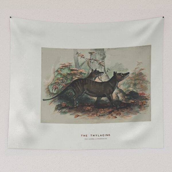 Item preview, Zoological sketches by Joseph Wolf 1861 to 1867 031 The Thylacine designed and sold by WetdryvacRB01.