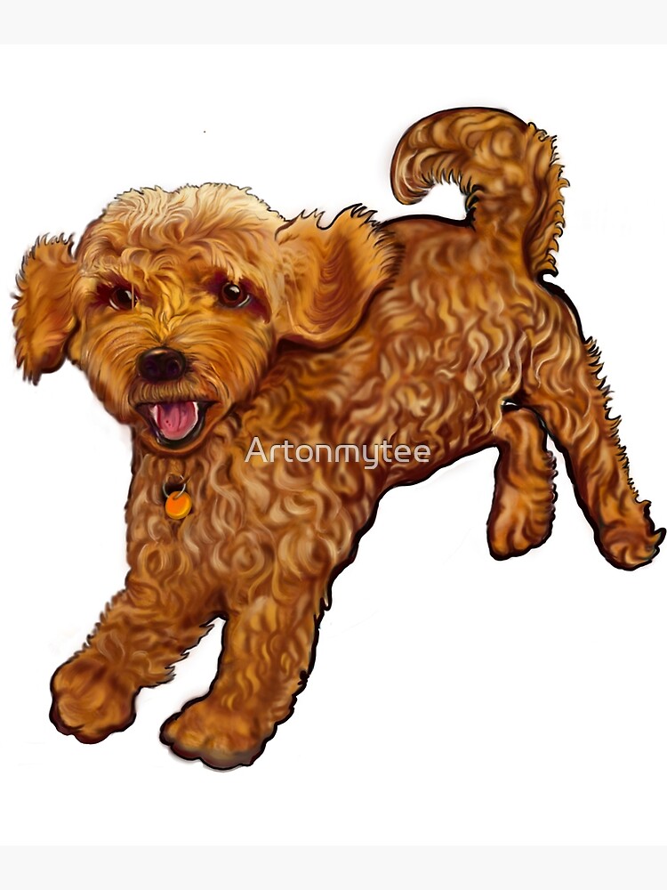 Cavapoo OR Cavachon Puppy Gift Card