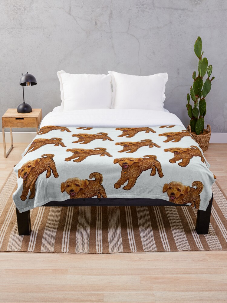 Cavapoo playing Cavapoo puppy dog prancing about cavalier king