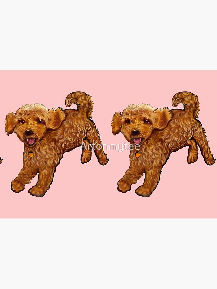 Cavapoo Dog - Jigsaw Puzzle