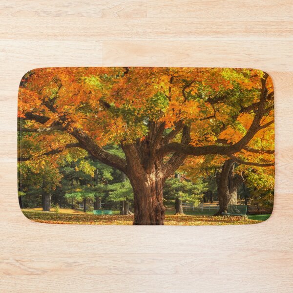 Item preview, Autumn Colours 6 - MacKenzie-King Estate 431-9683 designed and sold by Yannik Hay.