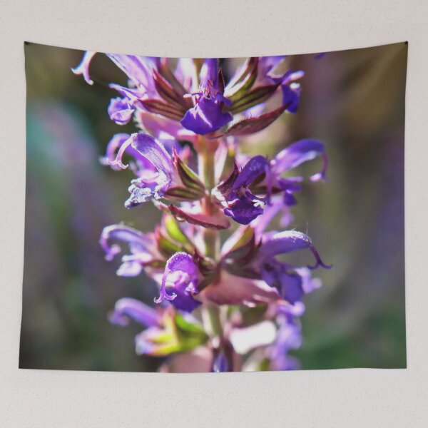Item preview, Sage Purple flower Macro photography designed and sold by Tanja Dianova.