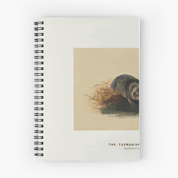 Item preview, Zoological sketches by Joseph Wolf 1861 to 1867 032 The Tasmanian Wombat designed and sold by WetdryvacRB01.
