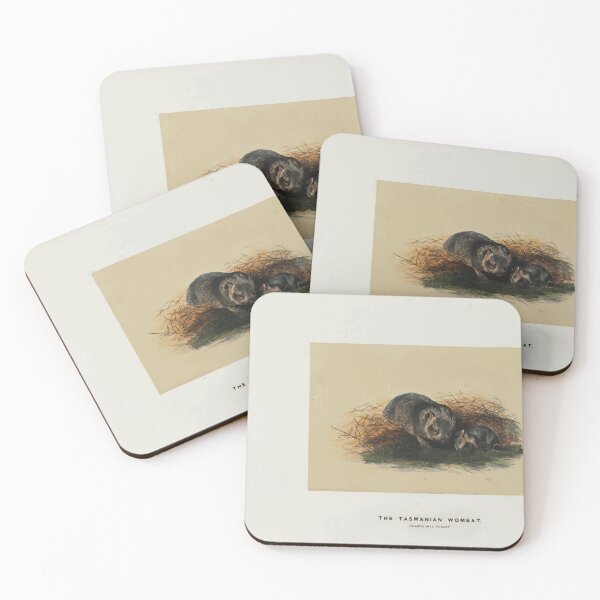Item preview, Zoological sketches by Joseph Wolf 1861 to 1867 032 The Tasmanian Wombat designed and sold by WetdryvacRB01.