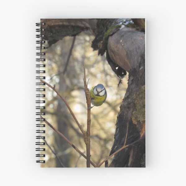 Item preview, I'm watching you, human! designed and sold by Spondylus.