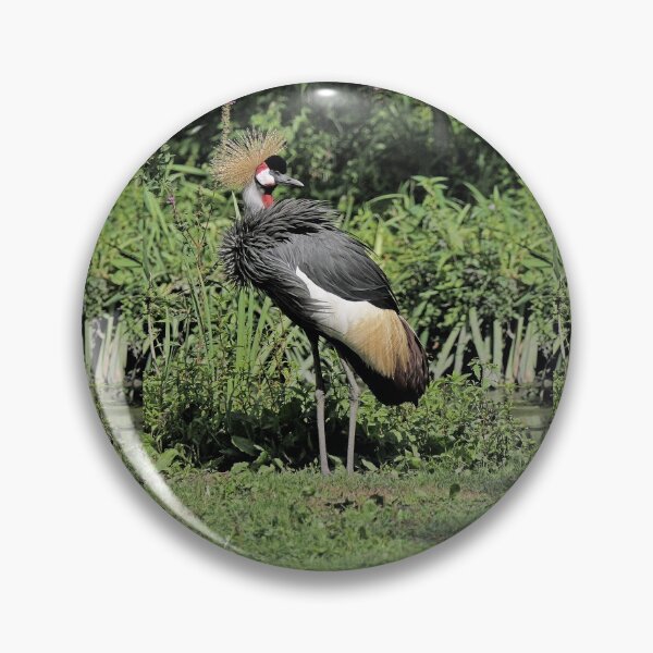 Item preview, r2461/ 15 parc-ornithologique-de-st-hilaire-la-palud - Grues couronnées -  2020 par Okaio Créations - Olavia&Olao designed and sold by o.okaïo.