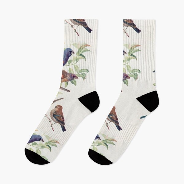 Item preview, Bright vivid Finch Birds designed and sold by Vintage Designs +.