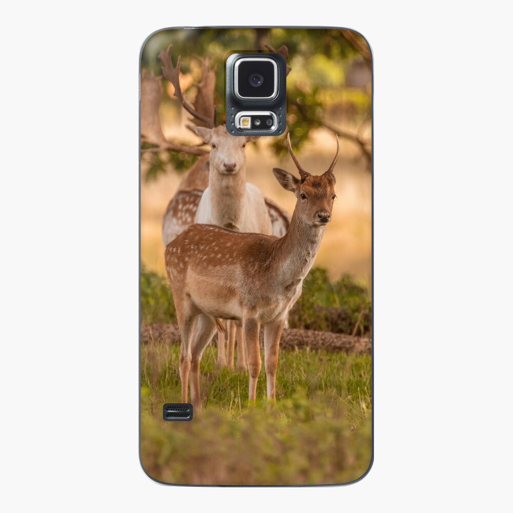 Item preview, Samsung Galaxy Skin designed and sold by AYatesPhoto.