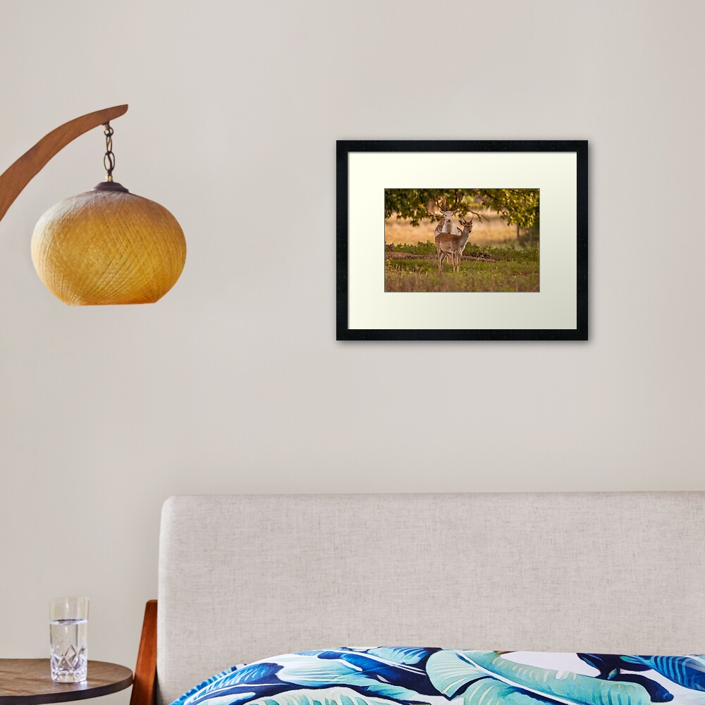 Item preview, Framed Art Print designed and sold by AYatesPhoto.