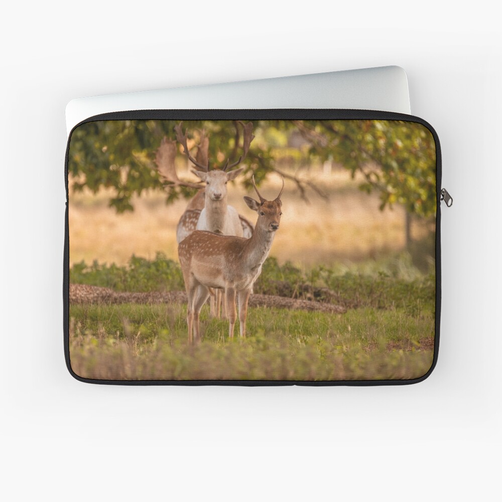 Item preview, Laptop Sleeve designed and sold by AYatesPhoto.