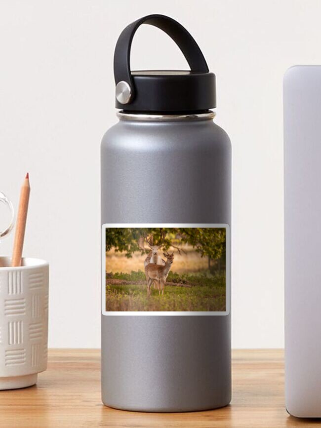 Thumbnail 1 of 3, Sticker, Fallow deer in autumn designed and sold by AYatesPhoto.