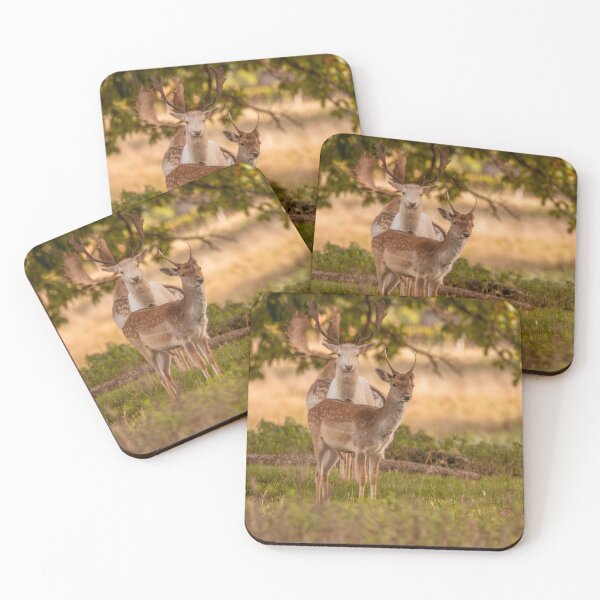 Item preview, Fallow deer in autumn designed and sold by AYatesPhoto.