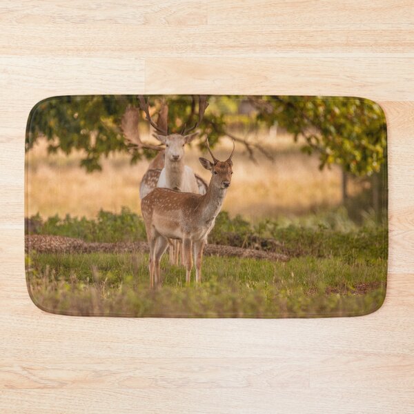 Item preview, Fallow deer in autumn designed and sold by AYatesPhoto.