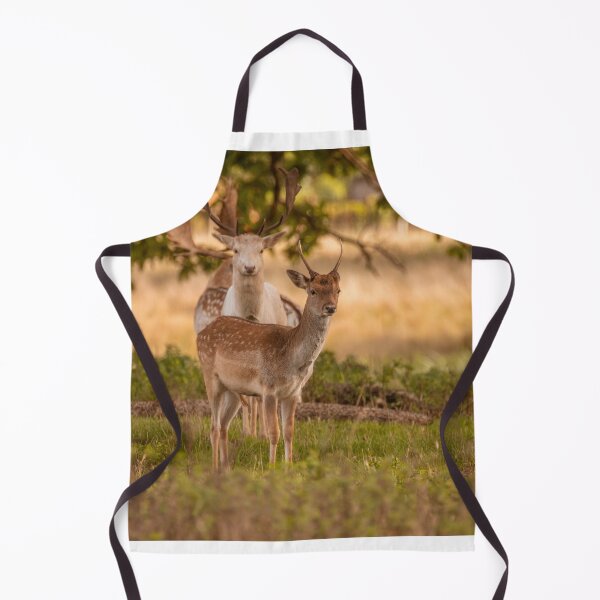 Item preview, Fallow deer in autumn designed and sold by AYatesPhoto.