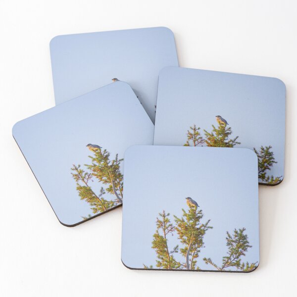 Item preview, Last call designed and sold by KazzaKphotos.