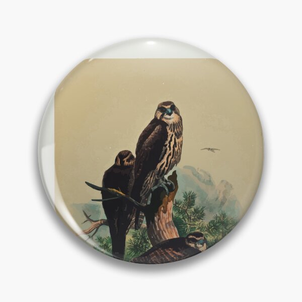 Item preview, Zoological sketches by Joseph Wolf 1861 to 1867 033 The Saker Falcon designed and sold by WetdryvacRB01.
