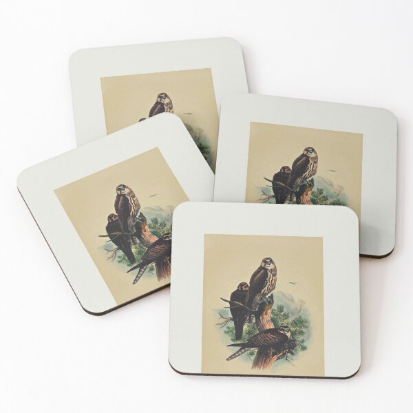 Item preview, Zoological sketches by Joseph Wolf 1861 to 1867 033 The Saker Falcon designed and sold by WetdryvacRB01.