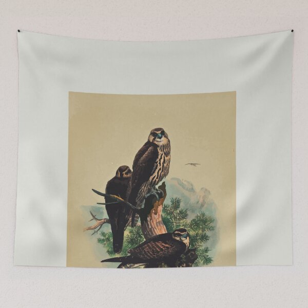 Item preview, Zoological sketches by Joseph Wolf 1861 to 1867 033 The Saker Falcon designed and sold by WetdryvacRB01.