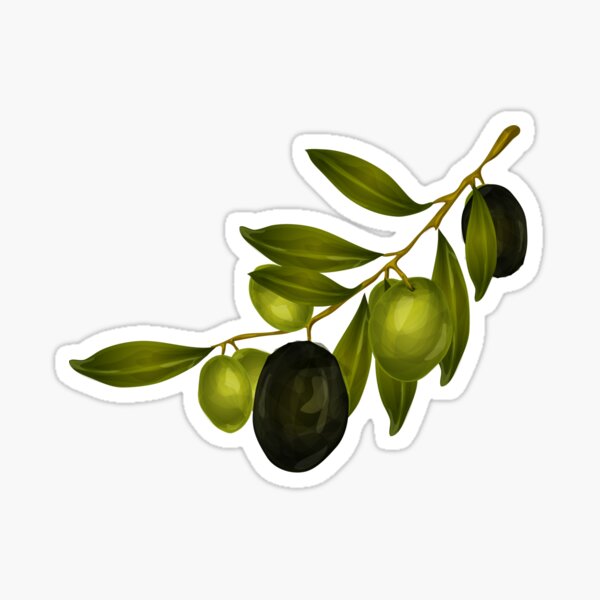 Poster olive branch with olives 