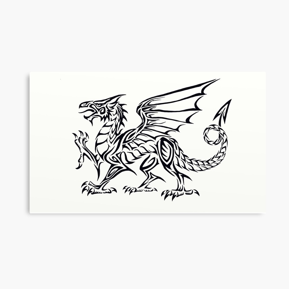Dragon Drawing png download - 800*800 - Free Transparent Dragon png  Download. - CleanPNG / KissPNG