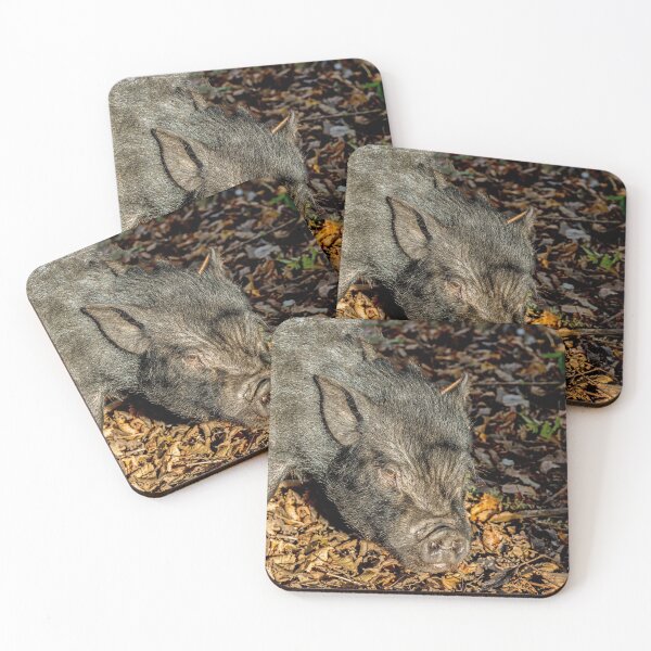 Item preview, Black Piglet Foraging in woodland amongst autumn leaf litter  designed and sold by Cameranick.