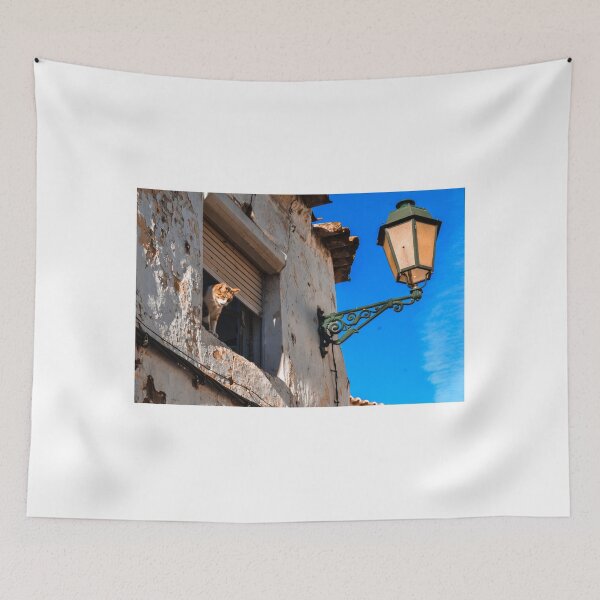 Item preview, Cat on a Window designed and sold by ecleticalis.