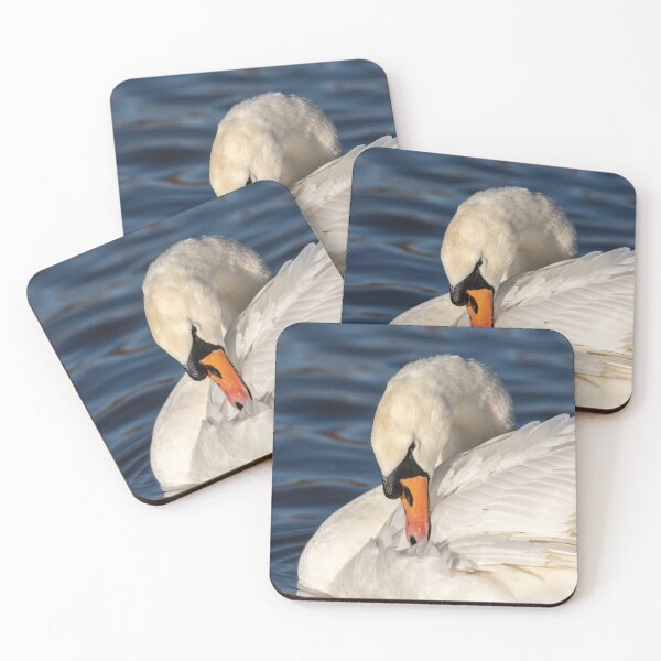 Item preview, Graceful swan preening designed and sold by AYatesPhoto.