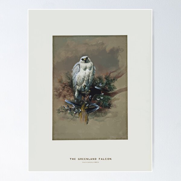 Item preview, Zoological sketches by Joseph Wolf 1861 to 1867 034 The Greenland Falcon designed and sold by WetdryvacRB01.