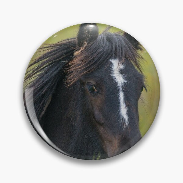 Item preview, Young colt with long mane in summer field designed and sold by iCimages.net.