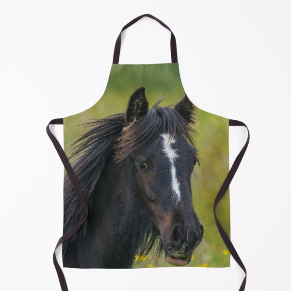 Item preview, Young colt with long mane in summer field designed and sold by iCimages.net.