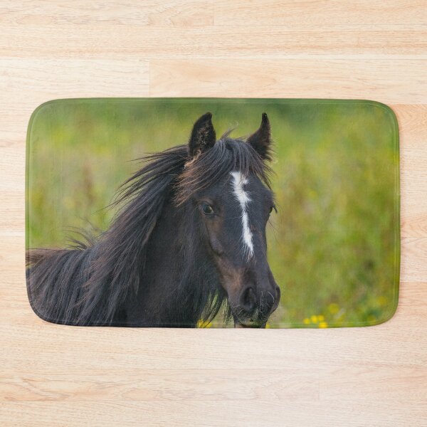 Item preview, Young colt with long mane in summer field designed and sold by iCimages.net.