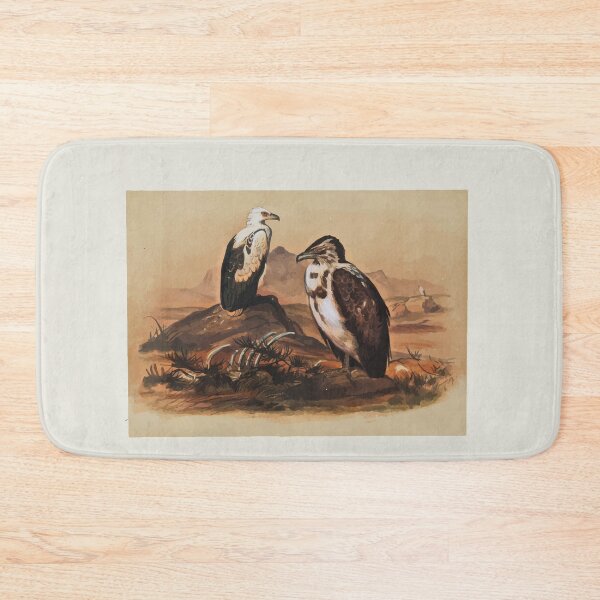 Item preview, Zoological sketches by Joseph Wolf 1861 to 1867 036 The Angolan Vulture designed and sold by WetdryvacRB01.