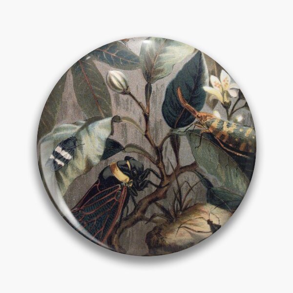 Artikelvorschau, Cicada and Lantern Beetle bug vintage illustration  entworfen und verkauft von Vintage Designs +.