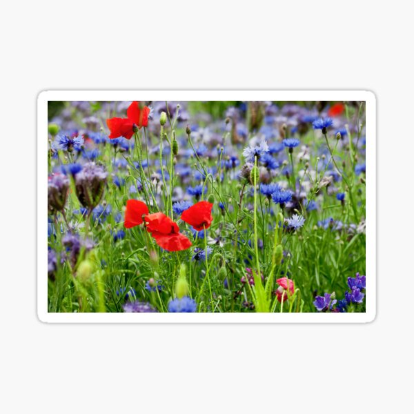 Item preview, Poppies and Cornflowers growing wild designed and sold by Violaman.