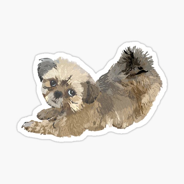 Shih tzu gifts and merchandise sale