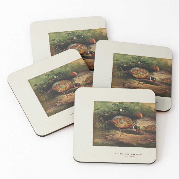 Item preview, Zoological sketches by Joseph Wolf 1861 to 1867 037 The Chinese Pheasant designed and sold by WetdryvacRB01.