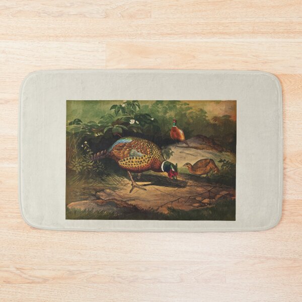 Item preview, Zoological sketches by Joseph Wolf 1861 to 1867 037 The Chinese Pheasant designed and sold by WetdryvacRB01.