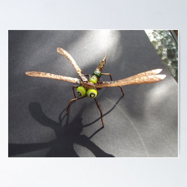 Dragonfly 2 Poster